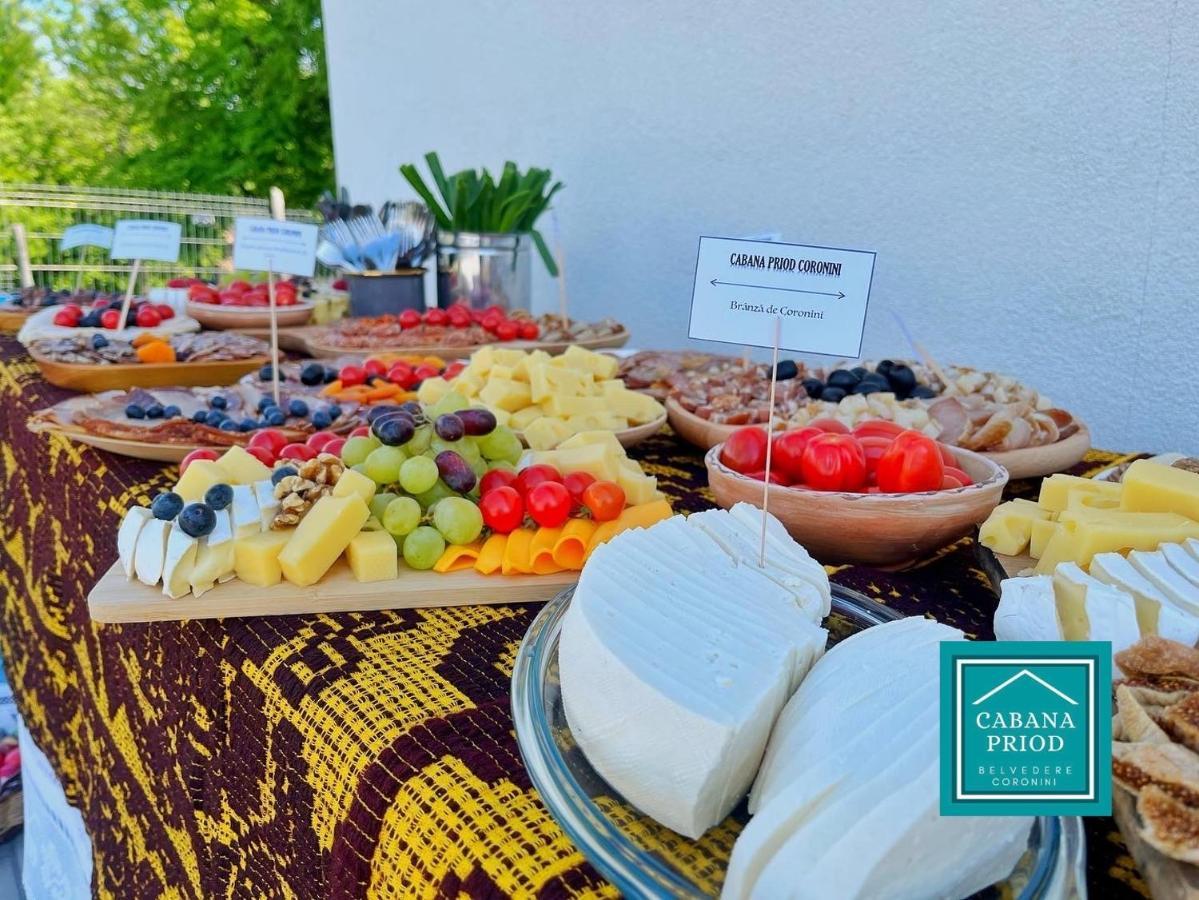 Cabana Priod Coronini Pescari المظهر الخارجي الصورة